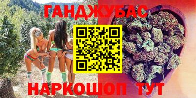 индика Беслан