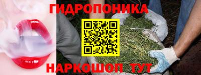 ПСИЛОЦИБИНОВЫЕ ГРИБЫ Бердск