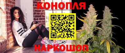 гидра Берёзовский